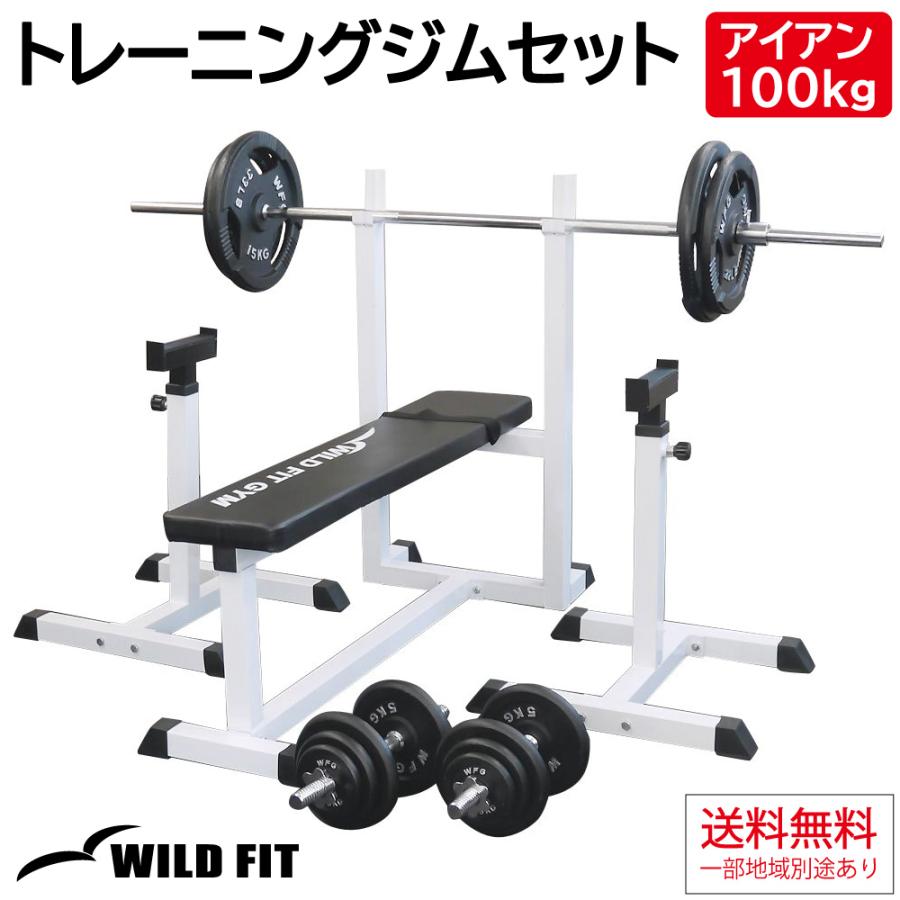 楽天市場】WILD FIT (ワイルドフィット) トレーニングジムセット