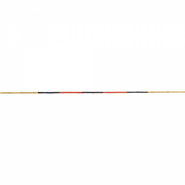 楽天市場】【NISHI ニシ・スポーツ】棒高跳び 棒高跳用ポール UCS