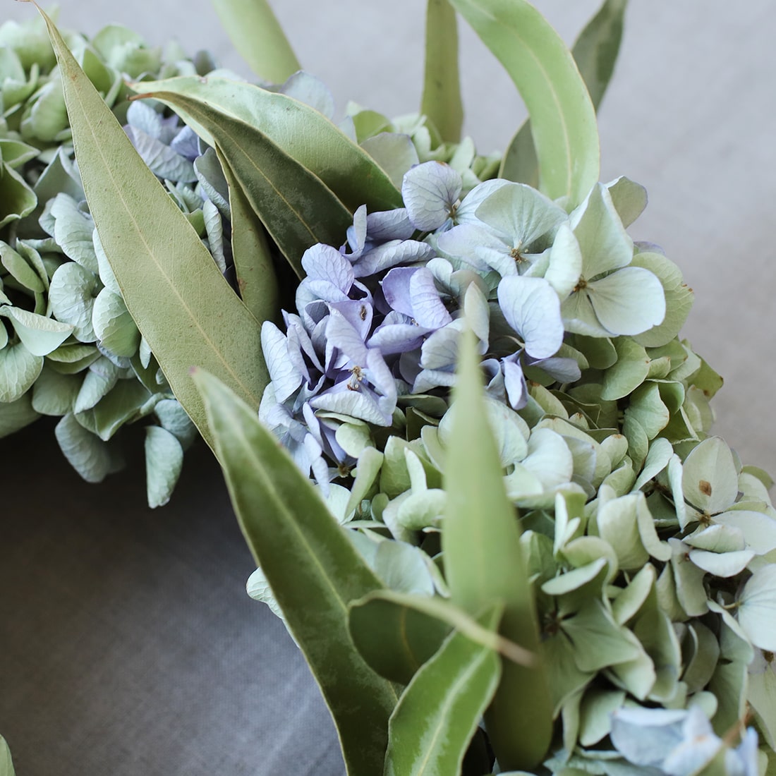 風薫る、紫陽花とユーカリのおまかせリース 商品ページ - 土と風の植物園