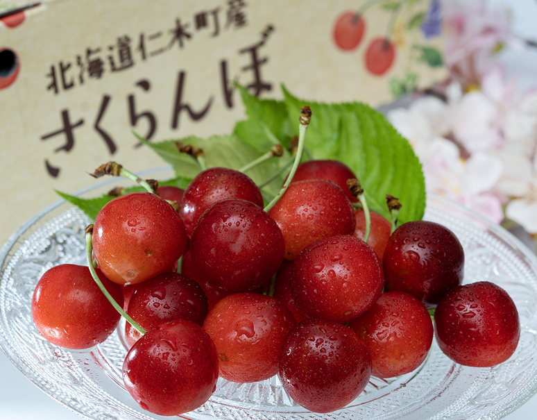 仁木町の大粒さくらんぼ』北海道産(佐藤錦または紅秀峰) 秀品 2箱