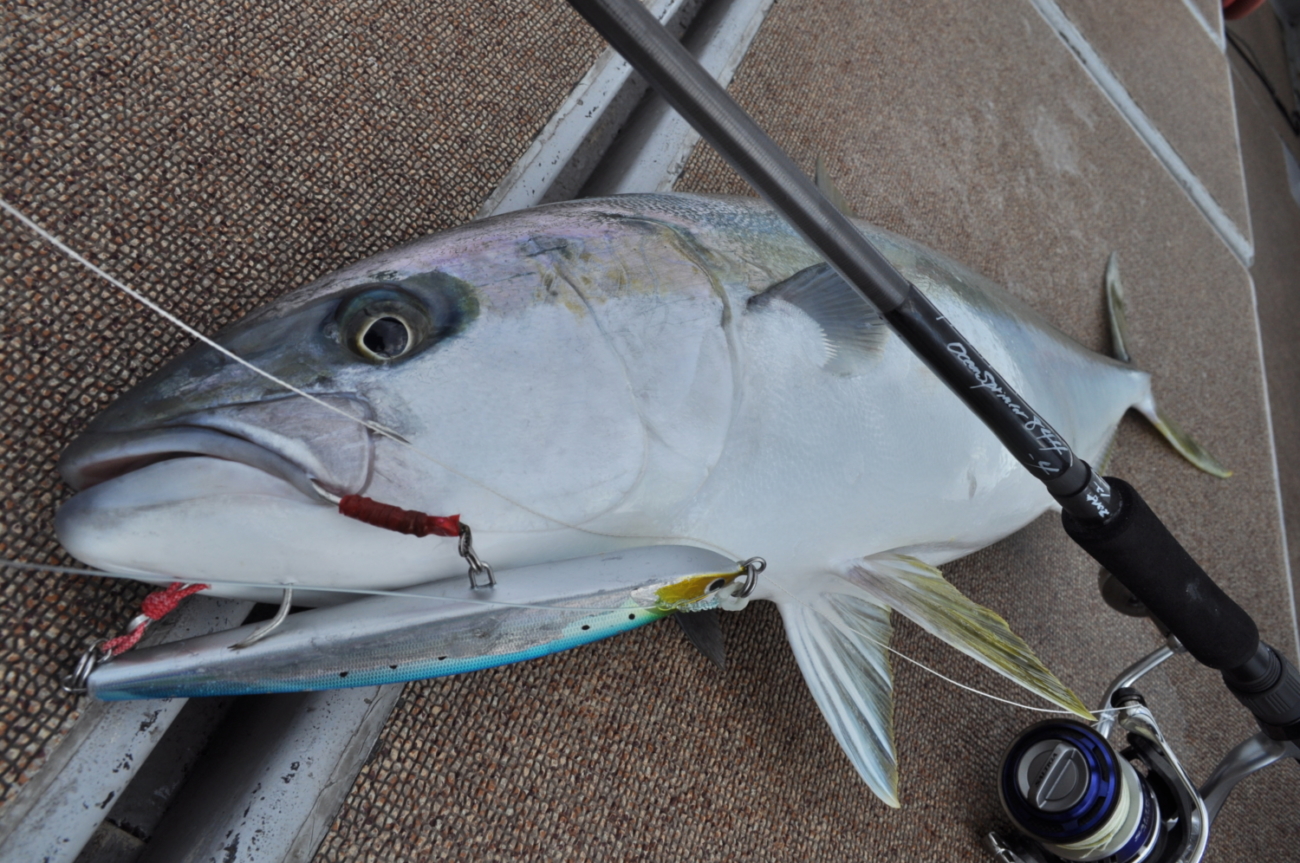 OceanSprinter 844 | TRUTH JAPAN