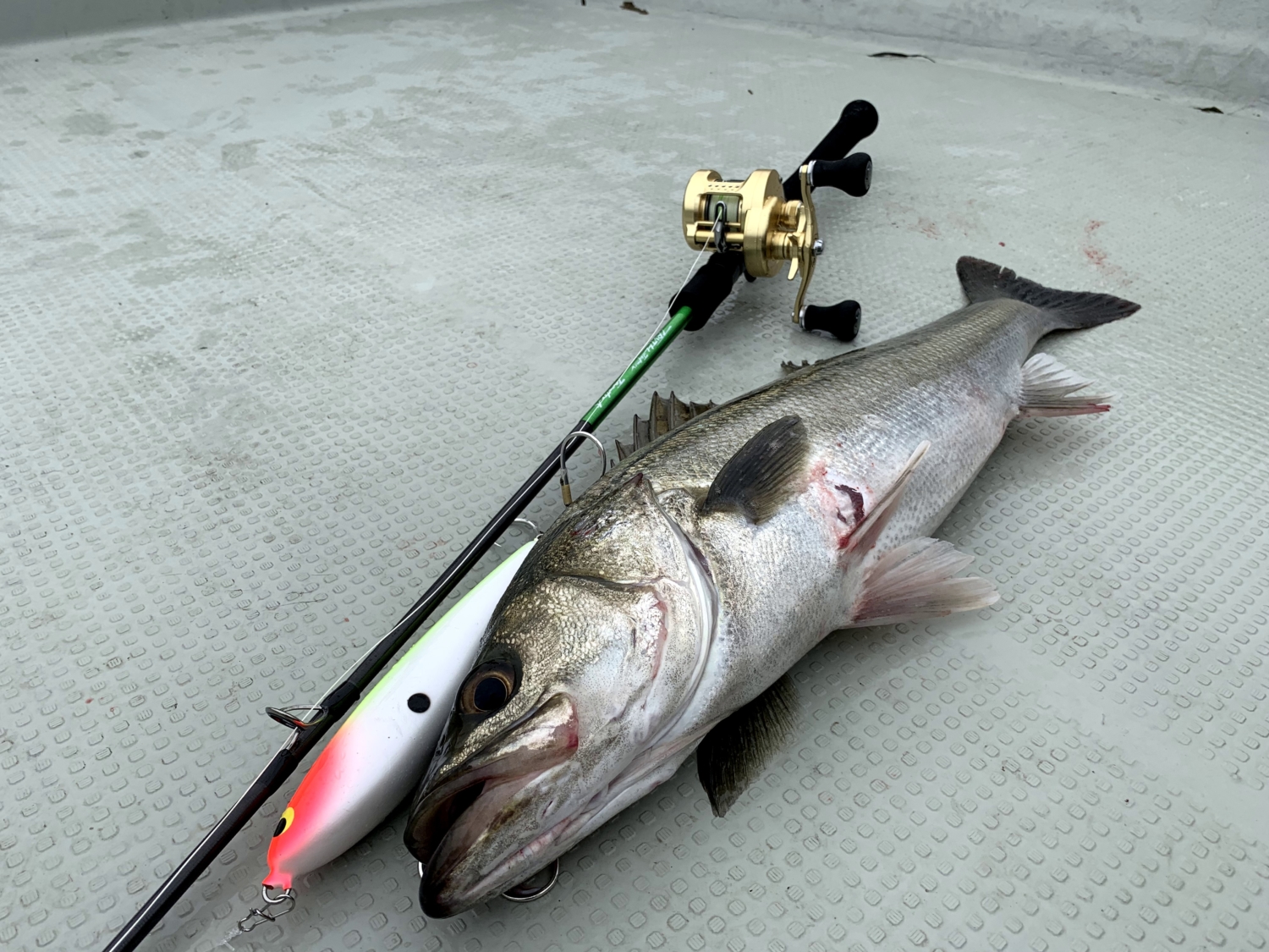 Rucell 511 | TRUTH JAPAN