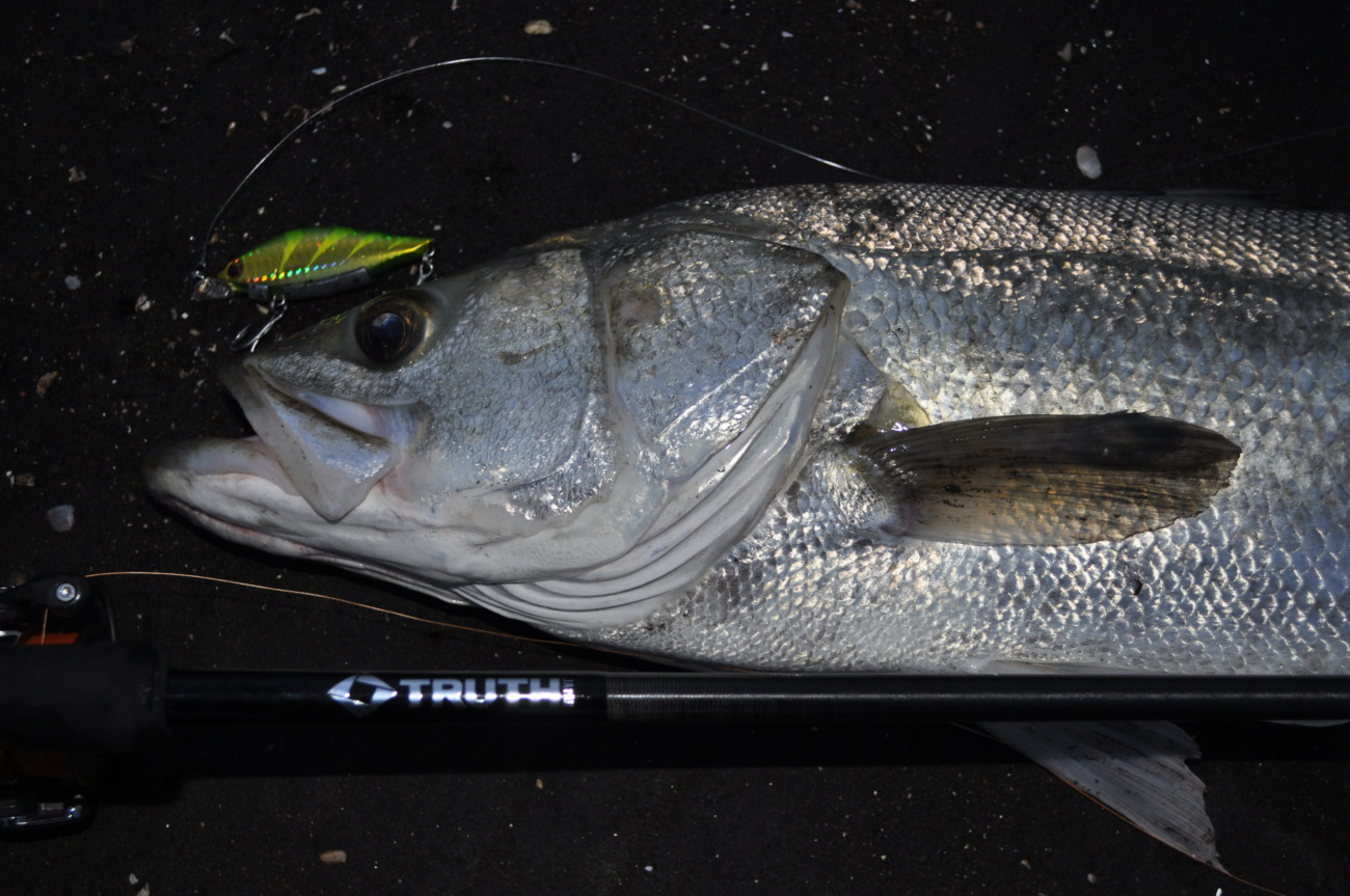 Permission 97SMH (SeaBass Spinning Model) | TRUTH JAPAN