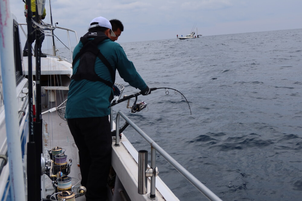 TrickStar 536 (Jigging Spinning Model) | TRUTH JAPAN