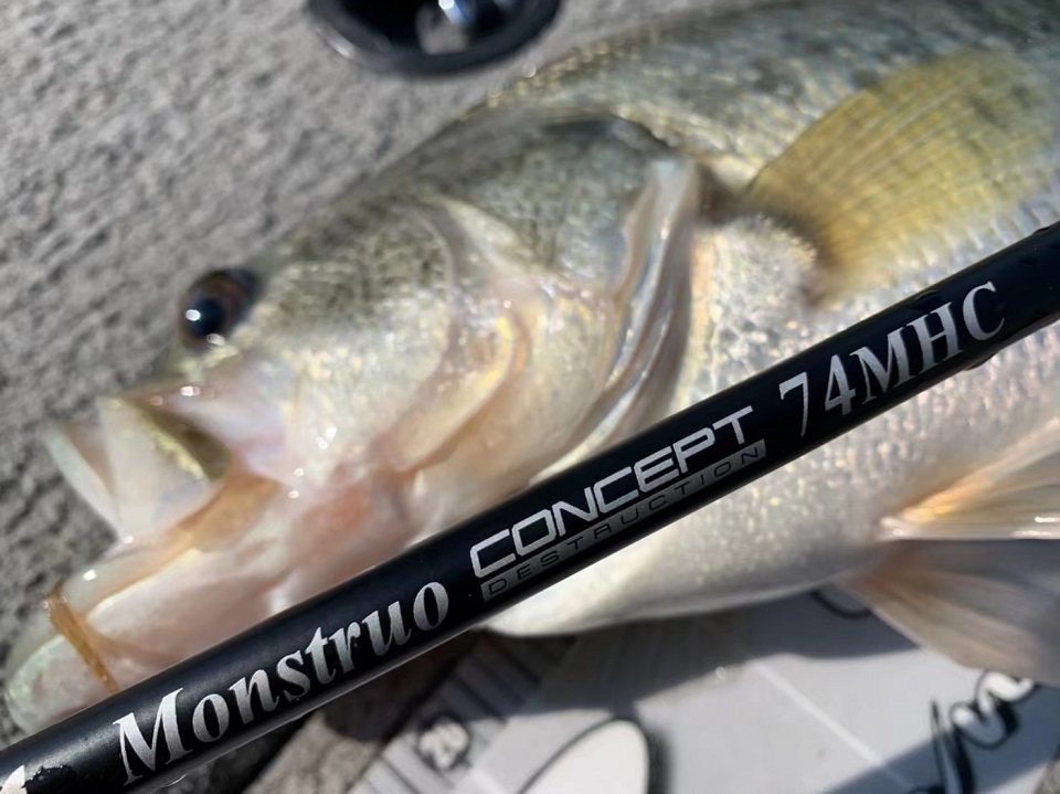 TULALA | Ford every stream | » Monstruo”ConceptDestruction” 74MHC