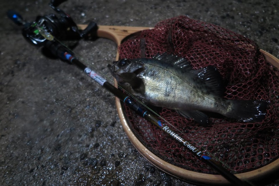 TULALA | Ford every stream | » 【STAFF】スモールプラグゲーム特化