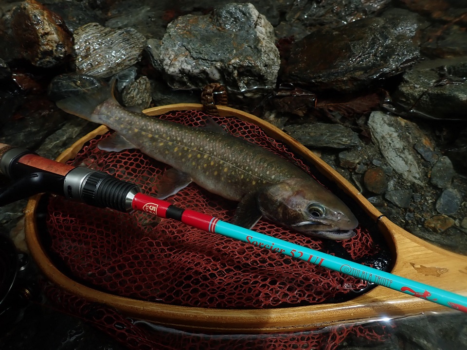 TULALA | Ford every stream | » 【STAFF】渓流スピニング ソルシエ