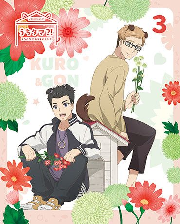 Blu-ray&DVD | TVアニメ「うちタマ⁈ ～うちのタマ知りませんか