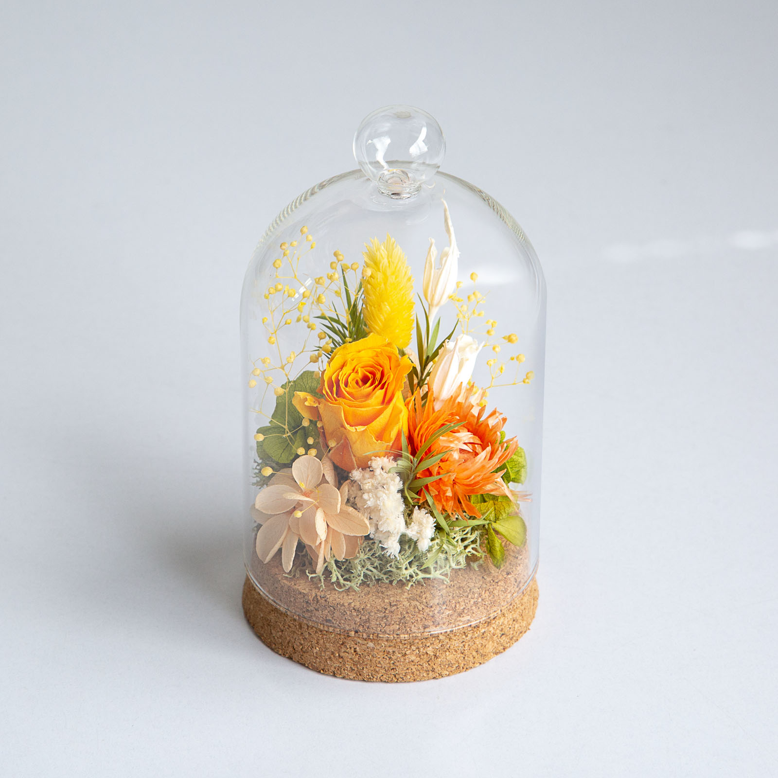 チェリッシュ L （レッド） | Upell オンラインショップ