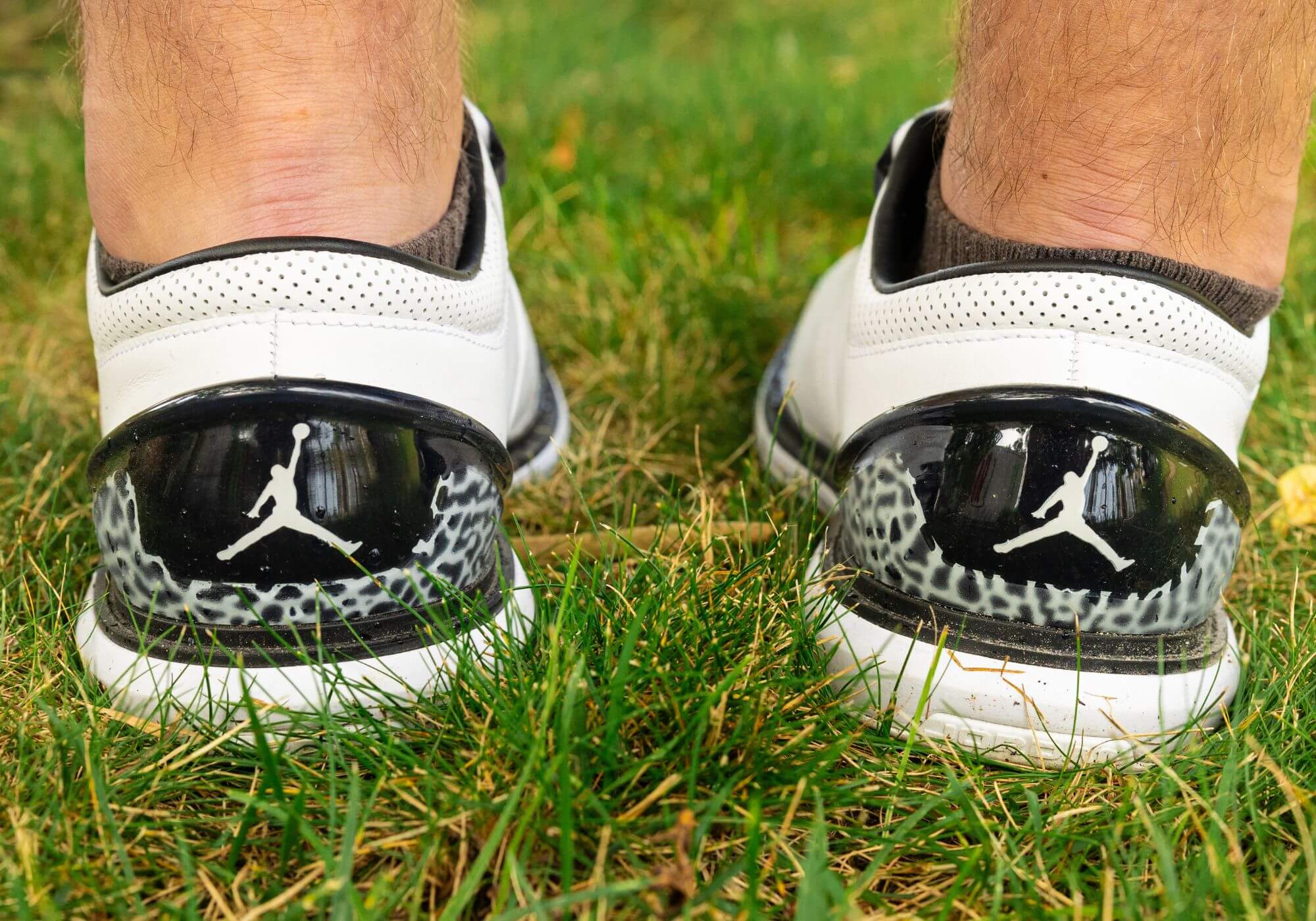 2025年最新】Yahoo!オークション -adg4の中古品・新品・未使用品一覧