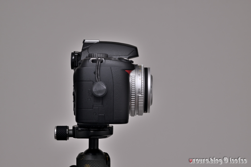 興味本位で買った中古のNikon D60が一日一撮の本命機になった話