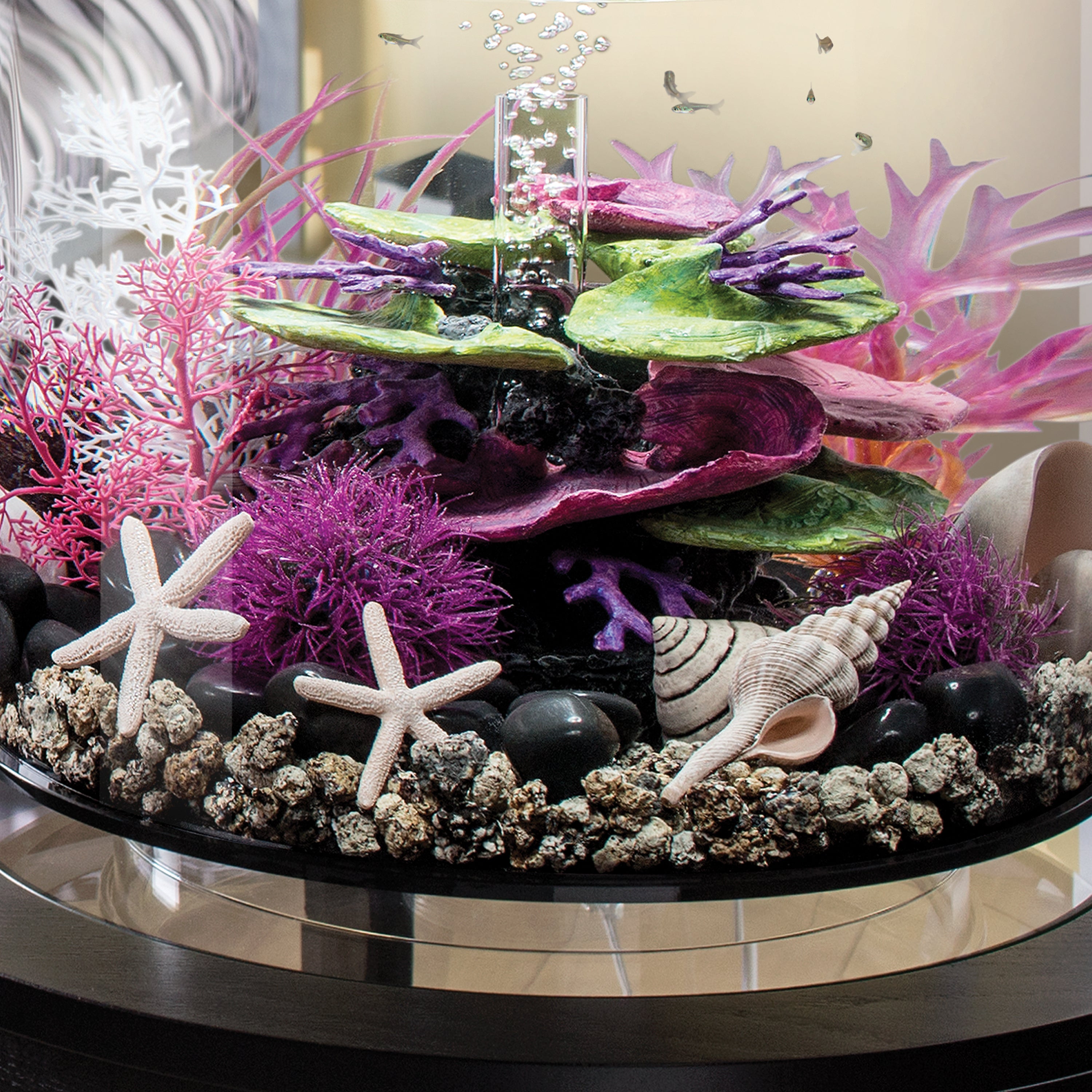 Medium Red & Pink Plant Set – biOrb