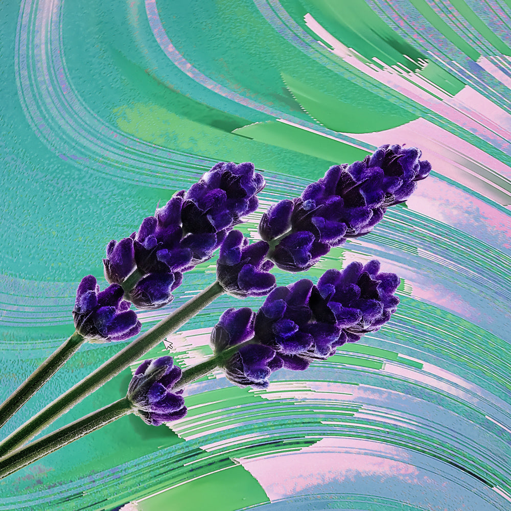 Hermetica Paris US | LAVINCENSE - Sample