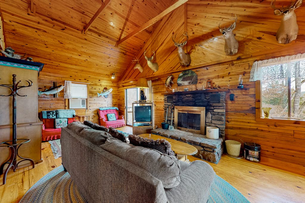 4882601.jpg?w=1920&fit=max&q=40