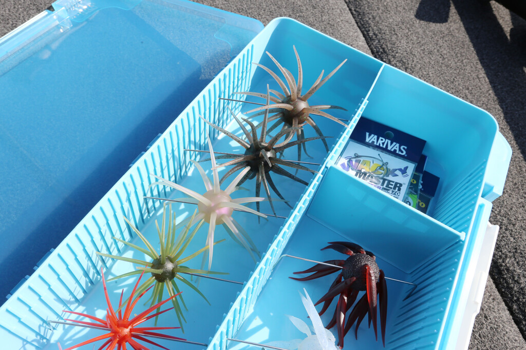 南湖LOVER vol.11 「コイケの最新収納法【HU3043NDDなど】」 | 釣りの