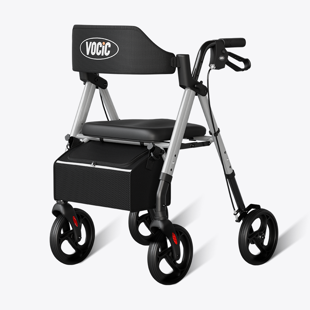 Z21silver-1.png?v=1769048327