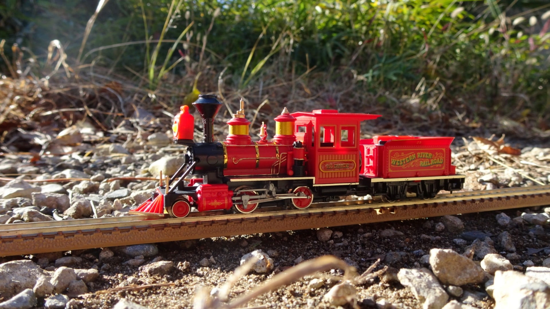 東京ディズニーランド ウエスタンリバーレールロード機関車リオ