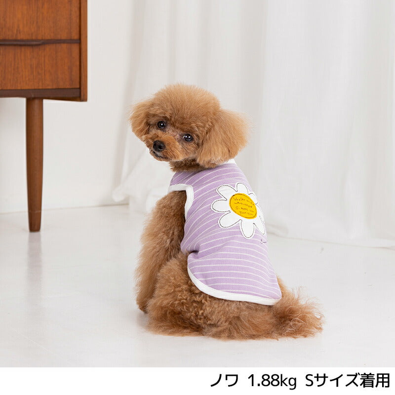 アップリケボーダータンク XS/S/M/L/XL/XXL TINOTITO -ティノティート