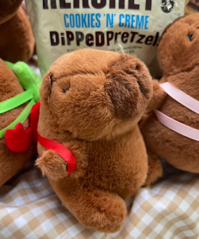 リュックカピバラぬいぐるみキーホルダー｜WEGO（ウィゴー） – WEGO