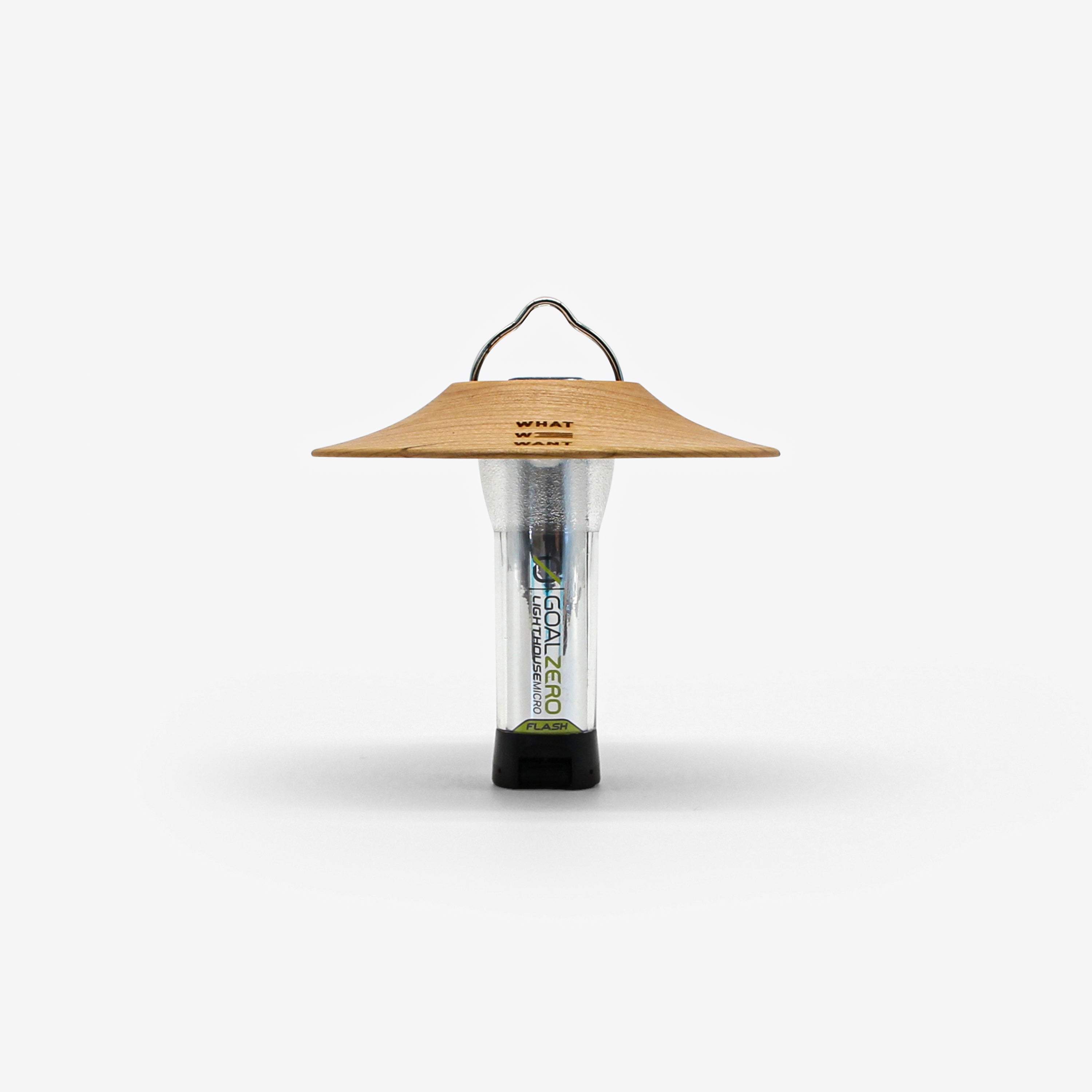 WWW_GOALSHADE_TYPE2 – WHAT WE WANT