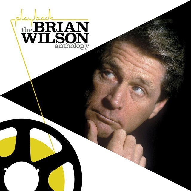 Brian Wilsonブライアンウィルソン 1966公式フィギュア特別ケース付
