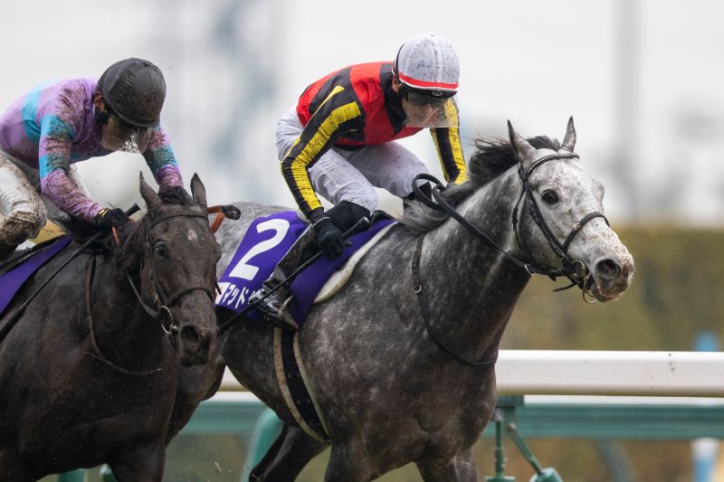 2025 高松宮記念】連覇目指してマッドクール＆ナムラクレア☓ルメール