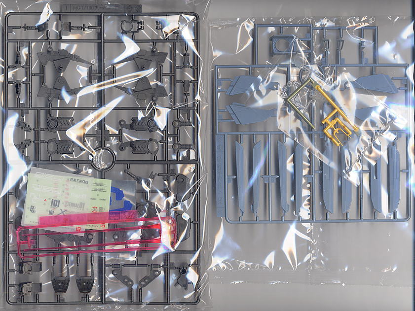 フリーダムガンダム(MG) エクストラフィニッシュ (MG) (ガンプラ