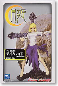 な*5様 アルクェイド アルク アーキタイプアース ガレージキット完成品