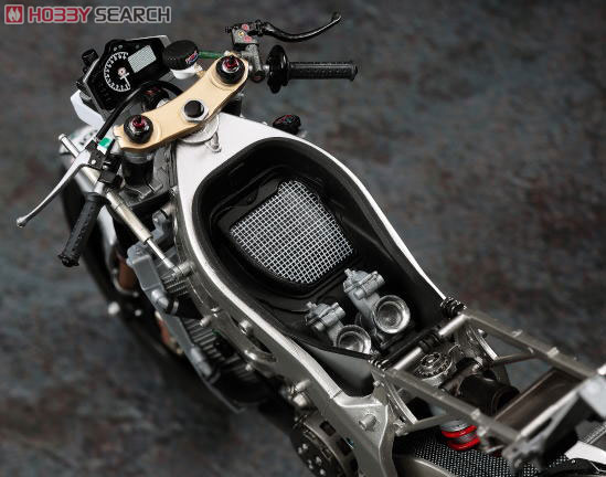 Scott Racing Team Honda RS250RW `2009 WGP Champion` (Model Car