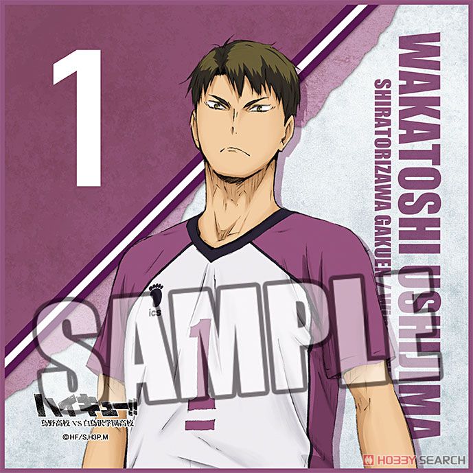 ハイキュー!! 烏野高校 VS 白鳥沢学園高校 マイクロファイバーミニ