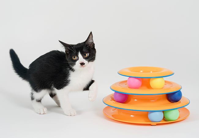 DADWAY ダッドウェイ タワーオブ・トラックス (03175) 猫用おもちゃ