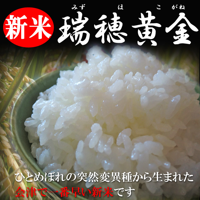 令和7年 会津産 瑞穂黄金 精米 20kg（5kg×4）お米 会津の米蔵 とくいち