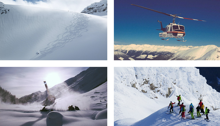 SKI&SNOWBOARD カナダ スキー&スノーボード情報サイト - Canada-info.jp