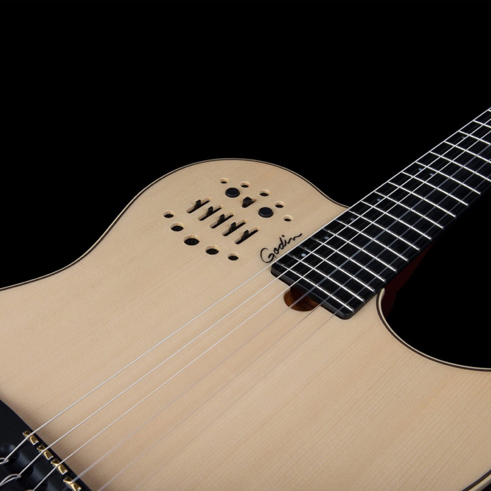 Godin ゴダン Multiac Nylon String Natural HG ナイロン弦 エレガット