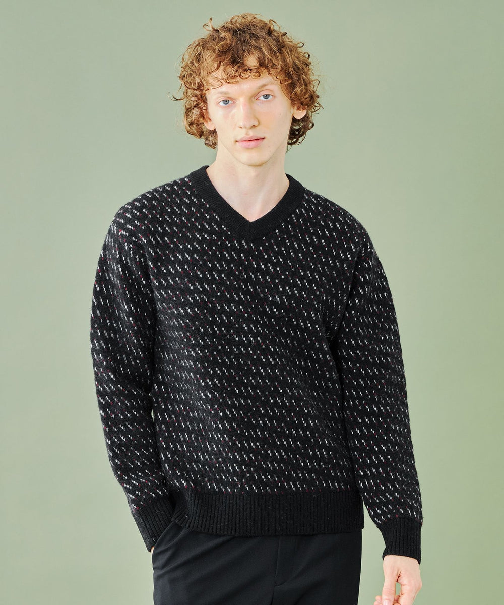 WEB限定】バーズアイジャカードVネックニット（WEB限定）｜BLACK LABEL