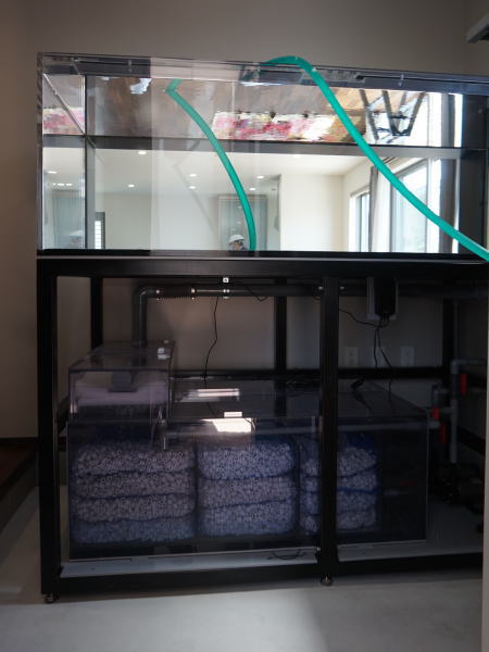 佐賀県唐津市 H 様 1800×900×600 オーバーフロー水槽設備 | アクリル