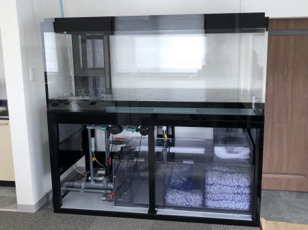 岡山県美咲町 T 様 大型アクリル水槽設備 | アクリル水槽 設計 施工