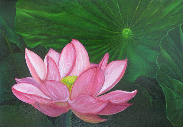 蓮の花」 by 吉川深雪｜Artmeter｜暮らしを彩るアートが、きっと見つかる