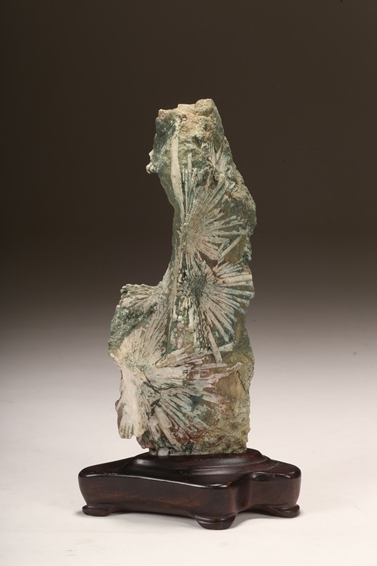 下仁田菊花石 銘「華美」 | 雨竹亭オンラインショップ