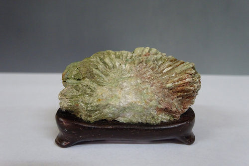 菊花石 (下仁田産) 【 水石 22 ― 03 】 - 小品盆栽専門店 湘風園