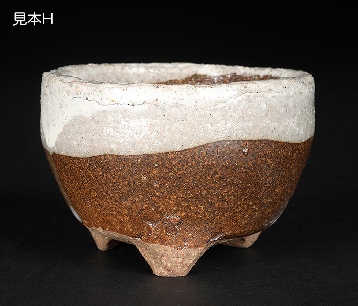 信楽焼楽風ミニ鉢8点セット | 盆栽、盆栽書籍、盆栽鉢の通販│近代出版