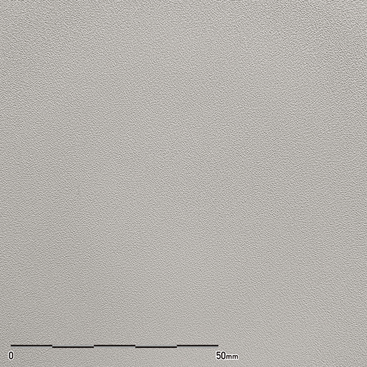 シルバーグレイヌバック | ベルビアン