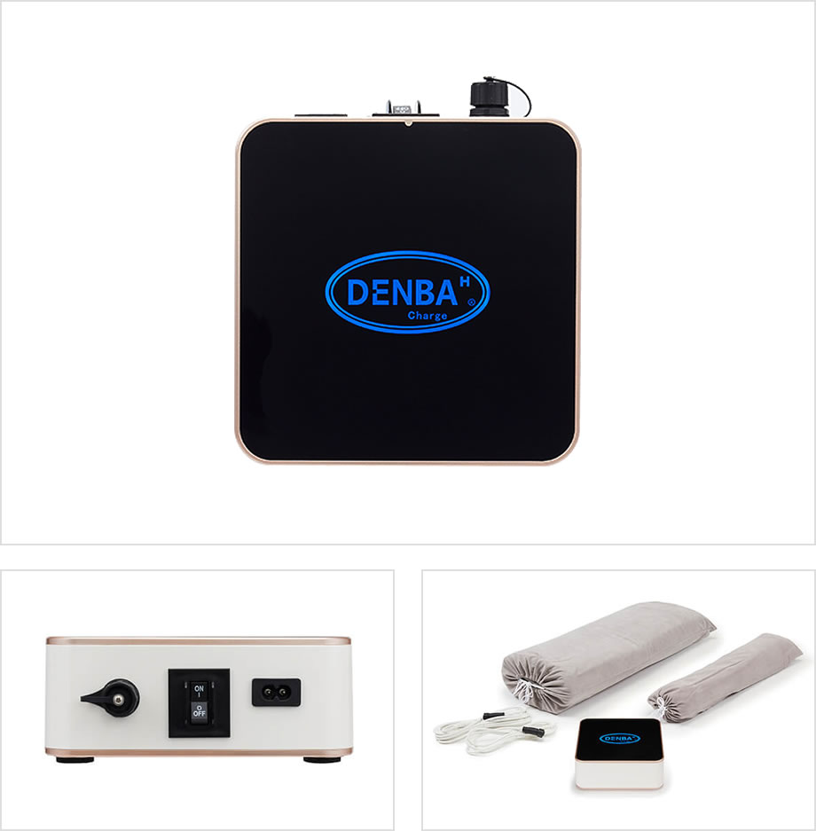 バ*タ様 DENBA Charge 健康管理デバイス DENBA Charge 健康管理