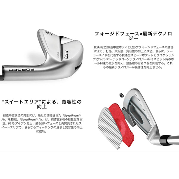 テーラーメイド NEW P・770 アイアン 6本セット DynamicGold EX Tour