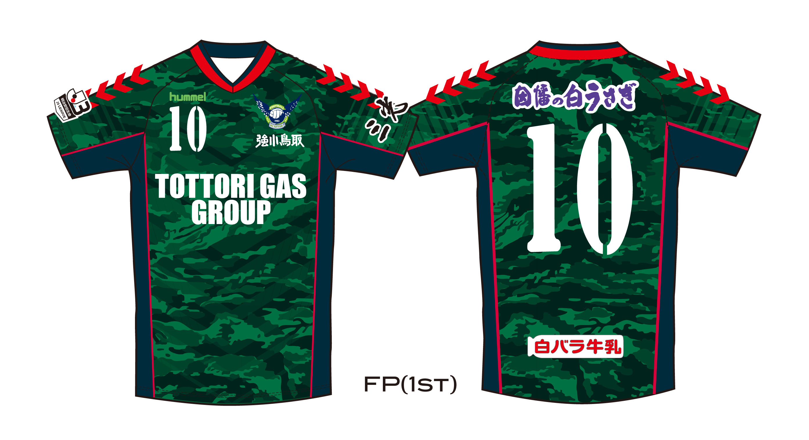 11/12(日)ギラヴァンツ北九州戦【GOGS情報】 | ガイナーレ鳥取