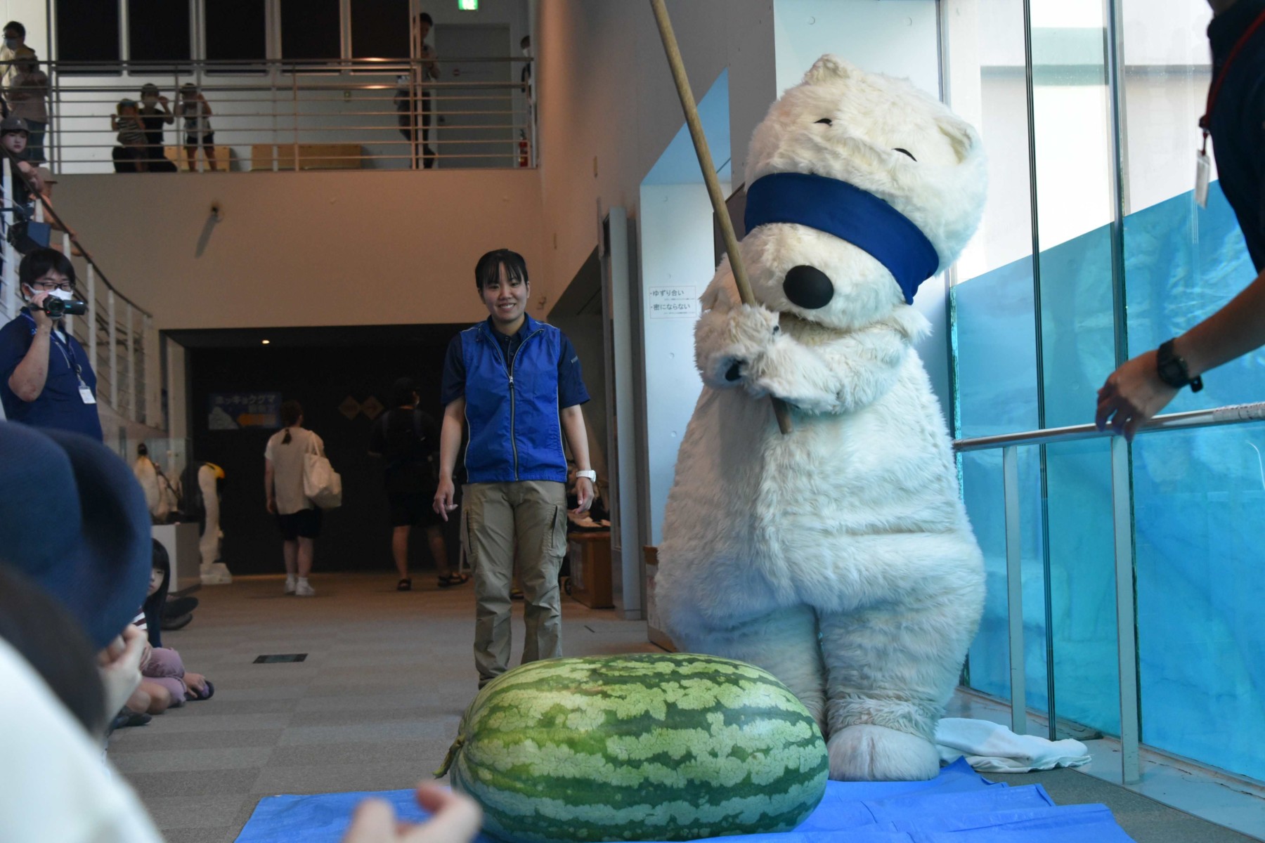 スイカ大サイズ！額付き作品 title「一陽来福ニャンコ」 香*月様 スイカ