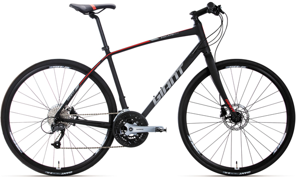 2019 GIANT Bicycles | ESCAPE RX 3 (2020 NEW)