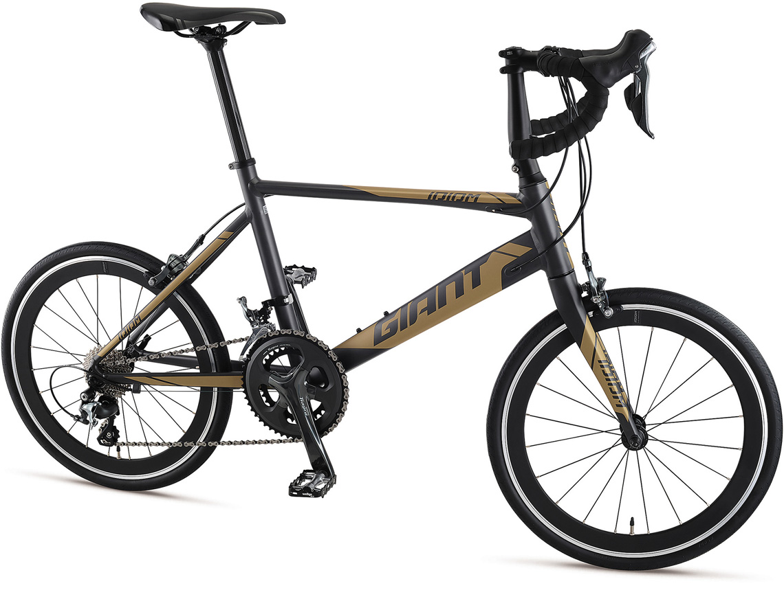 2020 GIANT Bicycles | IDIOM 0
