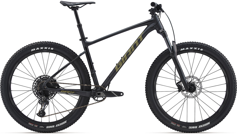 2020 GIANT Bicycles | FATHOM 2