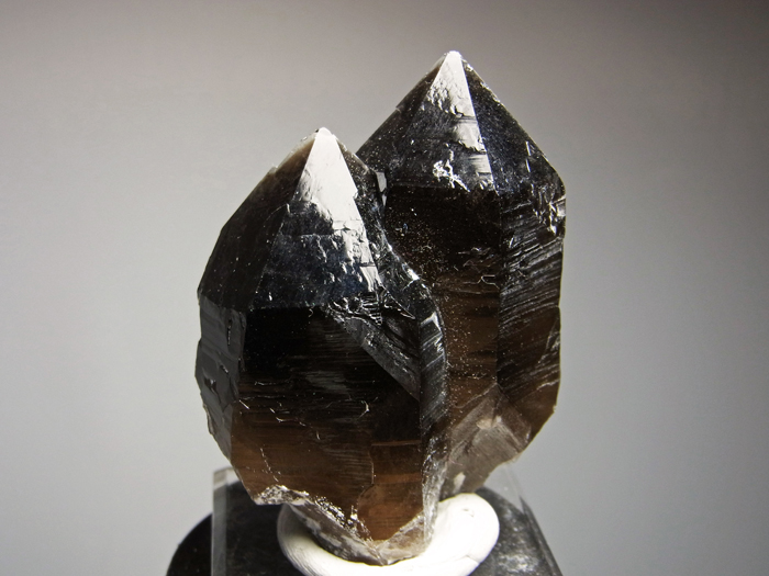 岐阜県蛭川田原産 煙水晶 (Smoky Quartz / Japan) - 鉱物標本販売店